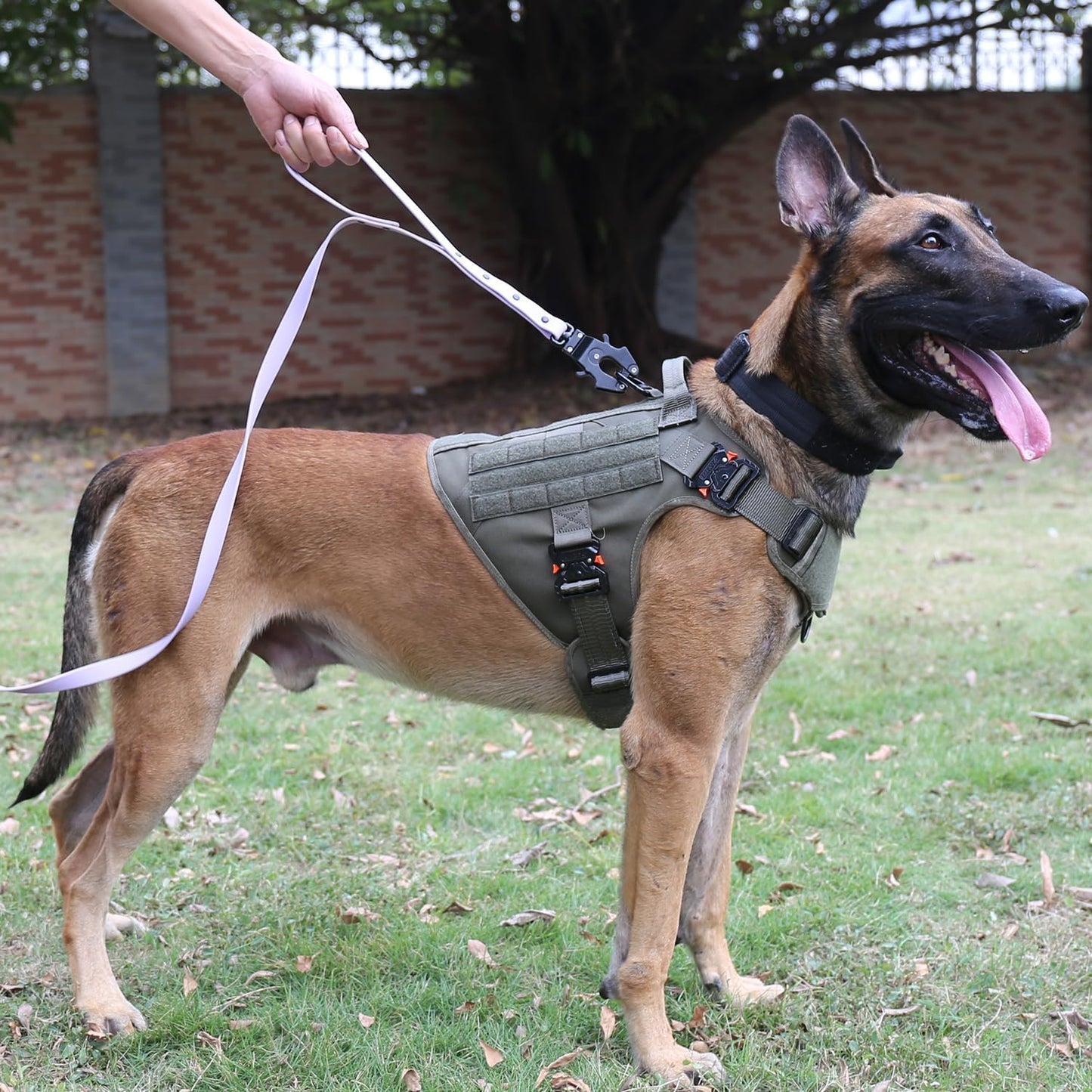 Professional Tactical Dog Harness with 4X Metal Buckles, MOLLE K9 Vest for Working Dogs, No Pull Front Clip, Adjustable Large Dog Harness (Size L: 28"-35" Chest), Green