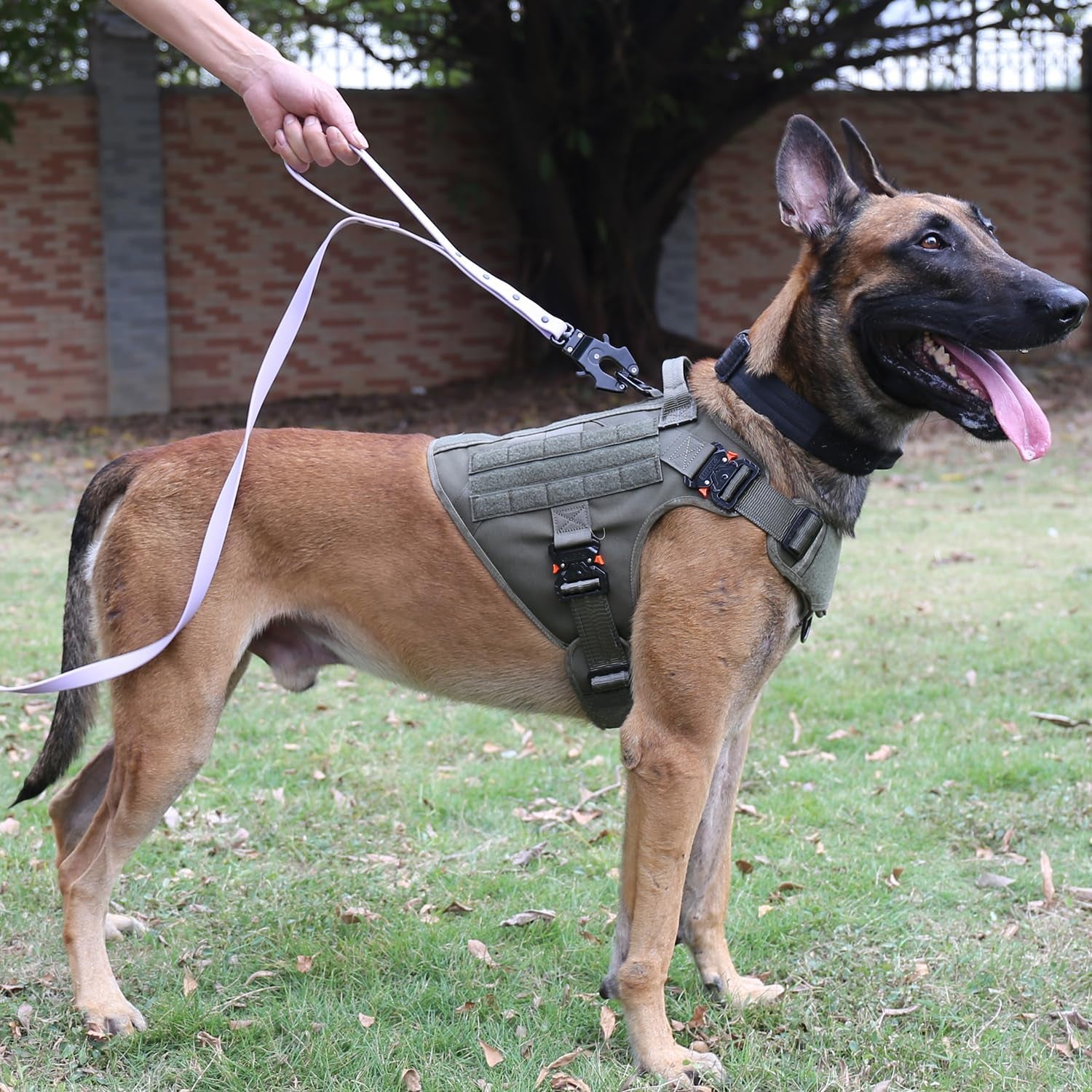 Professional Tactical Dog Harness with 4X Metal Buckles, MOLLE K9 Vest for Working Dogs, No Pull Front Clip, Adjustable Large Dog Harness (Size L: 28"-35" Chest), Green