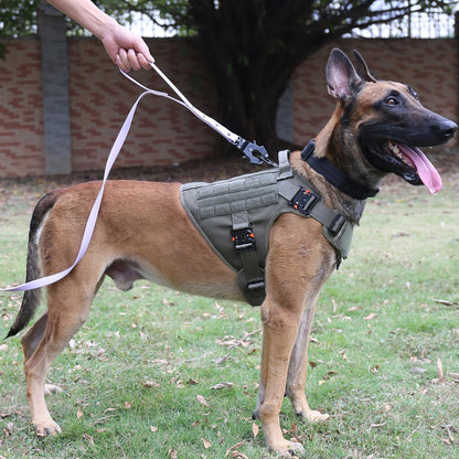 Professional Tactical Dog Harness with 4X Metal Buckles, MOLLE K9 Vest for Working Dogs, No Pull Front Clip, Adjustable Large Dog Harness (Size L: 28"-35" Chest), Green