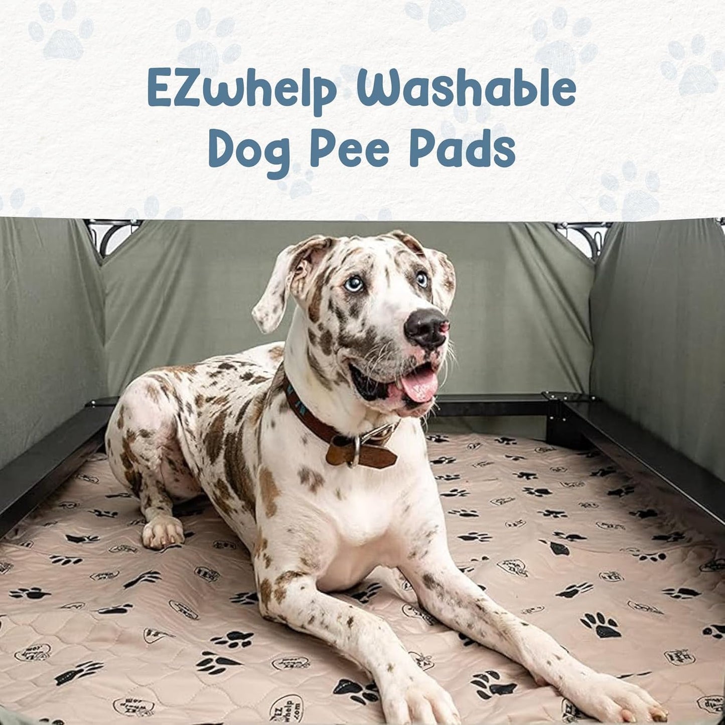 Reusable Washable Dog Pee Pads - Waterproof Potty Training and Whelping Mats, 36x48 Inch, Set of 2 with Rounded Corners